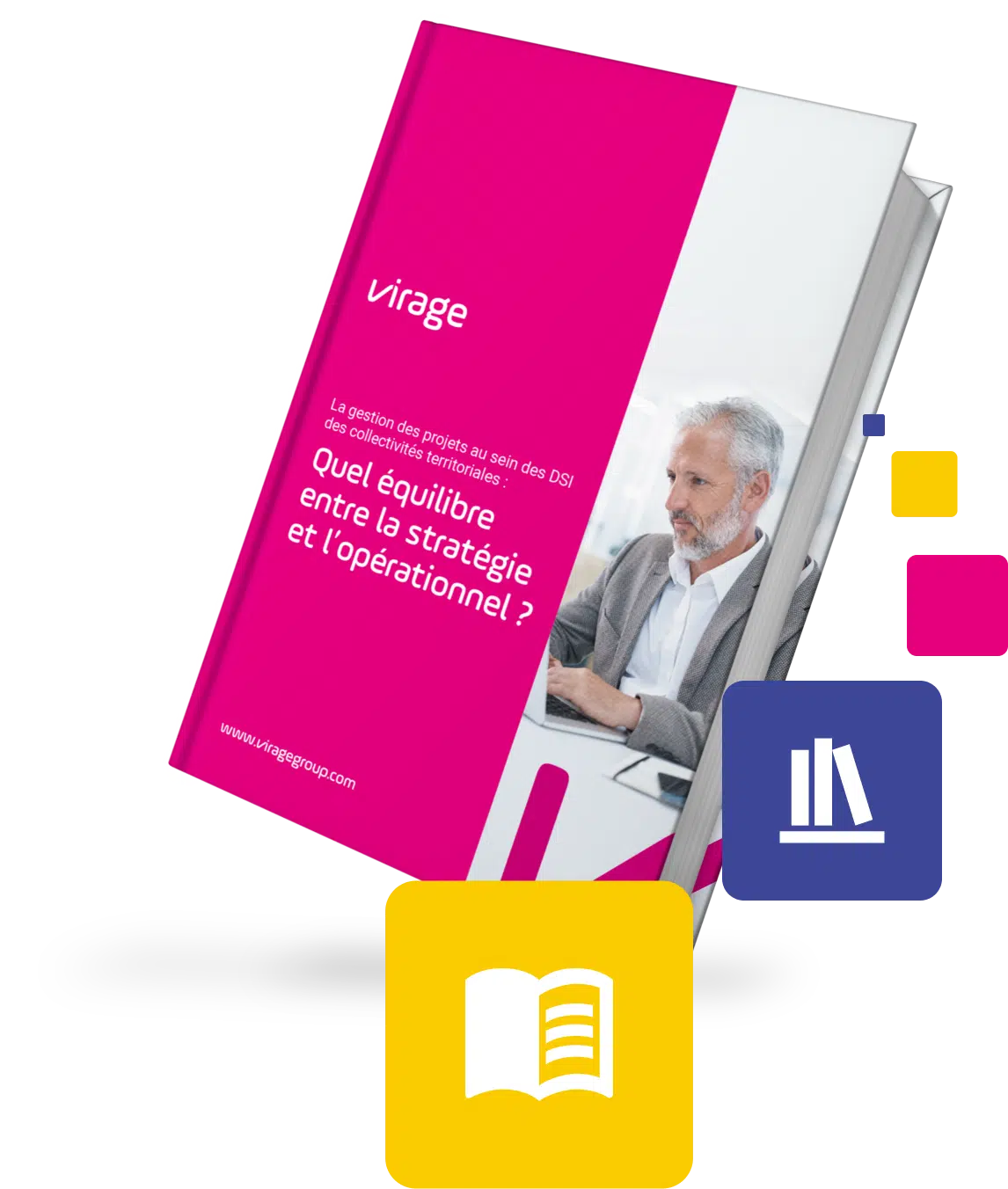 livre blanc ppm collectivite dsi